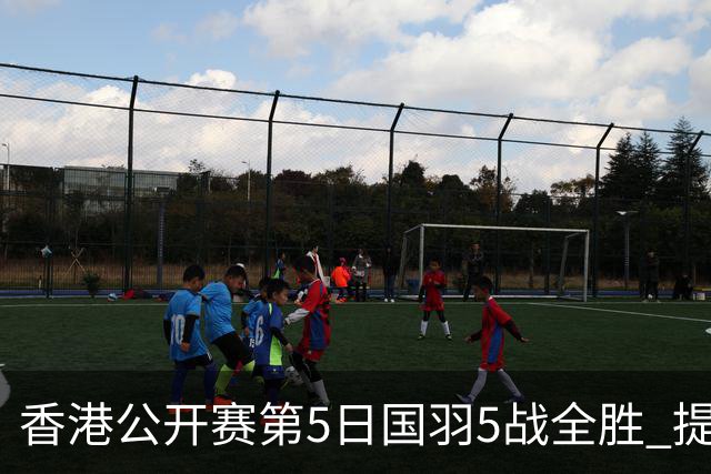 香港公开赛第5日国羽5战全胜 提前包揽混双冠亚军